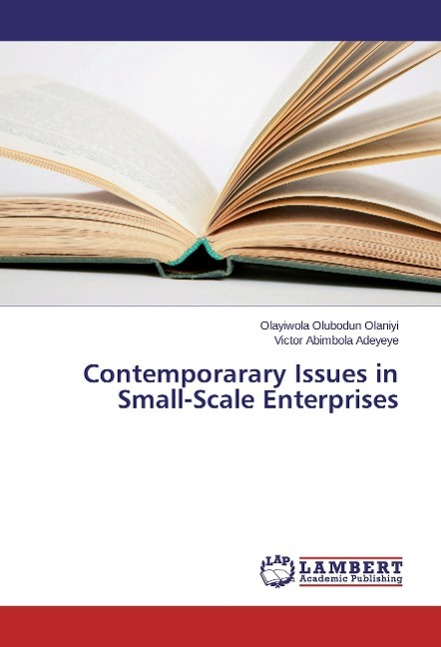 Contemporarary Issues in Small-Scale Enterprises - Olubodun Olaniyi, Olayiwola Abimbola Adeyeye, Victor