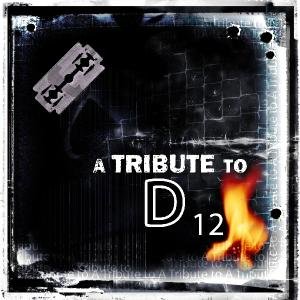 Tribute To D-12