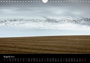 Views of Scotland (Wall Calendar 2015 DIN A4 Landscape)