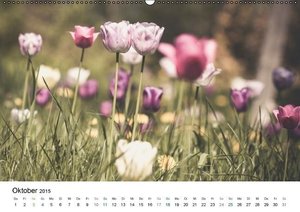 Frühlingsfreuden - Ein ganzes Jahr (Wandkalender 2015 DIN A2 quer)