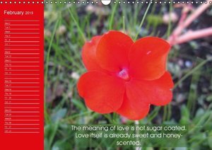 Pastel Flower Quotes (Wall Calendar 2015 DIN A3 Landscape)