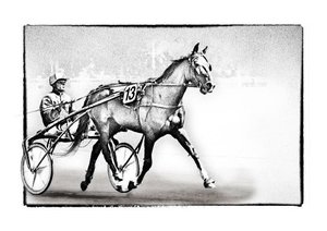 Autour du cheval (Livre poster DIN A3 horizontal)