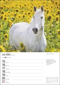 Pferde Wochenplaner 2024. Wochenkalendarium, Zitate und Pferdefotos in einem praktischen Termin-Kalender. Funktion trifft auf Design: Hochwertiger Fotokalender mit Raum für Notizen