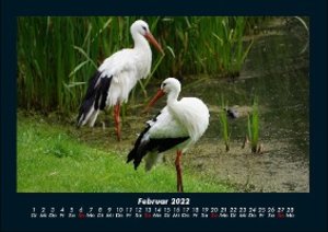 Vogel Kalender 2022 Fotokalender DIN A4