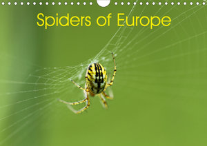 Spiders of Europe