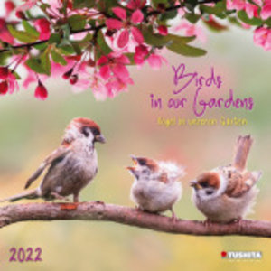 Birds in our Garden 2022