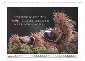 Spruch verliebt (Wandkalender 2024 DIN A2 quer), CALVENDO Monatskalender