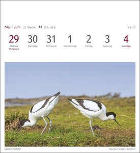 Heimische Vögel Postkartenkalender 2023. Wochenkalender im Postkartenformat mit Vogelporträts. Kleiner Kalender mit wöchentlich neuen Postkarten zum Sammeln und Verschicken.