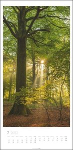 Im Wald Kalender 2022