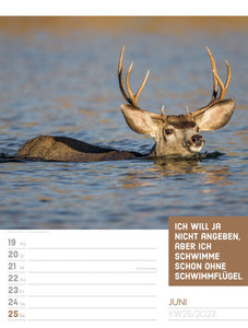 Tierisch! Sprüchekalender - Wochenplaner Kalender 2023