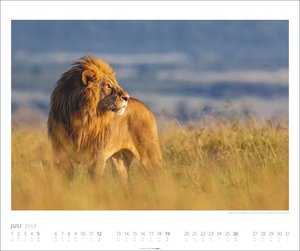 African Wildlife Kalender 2026