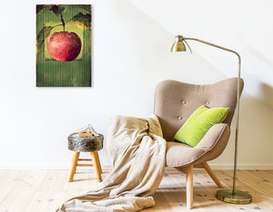 Premium Textil-Leinwand 50 cm x 75 cm hoch Apfel im vintagelook