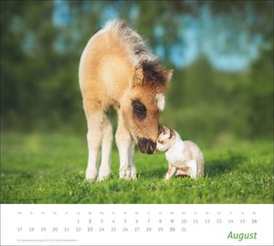 times&more Echte Freunde Bildkalender 2026