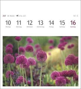 Blumenpracht Postkartenkalender 2023