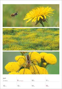 Magie der Farben Wochenplaner 2025