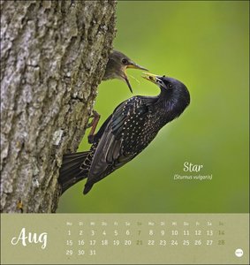 Vögel in unseren Gärten Postkartenkalender 2022