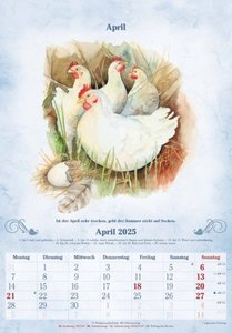 100-jähriger Kalender 2025 - Bildkalender 23,7x34 cm - mit Wetterprognosen, Bauernregeln und liebevollen Illustrationen - Wandkalender - Alpha Edition