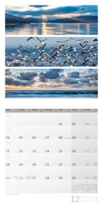 Colours of Nature Kalender 2023 - 30x30