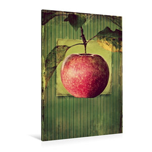Premium Textil-Leinwand 80 cm x 120 cm  hoch Apfel im vintagelook