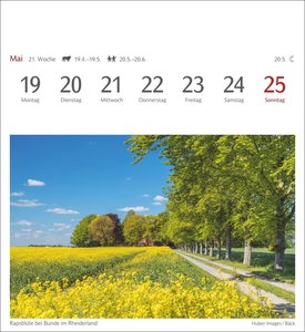 Lichtblicke Postkartenkalender 2025 - Wochenkalender mit 53 Postkarten