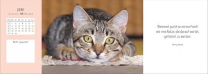 Katzen Premium-Tischplaner 2026 - Der literarische Wochenkalender mit Zitaten