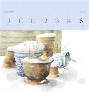 Marjolein Bastin: Schönheit der Natur Premium-Postkartenkalender 2023. Hochwertiger Tisch-Kalender mit 53 liebevoll illustrierten Postkarten. Kleiner Kalender 2023 zum Aufstellen