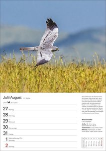 Heimische Vögel Wochenplaner 2026