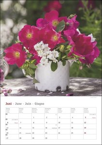 Rosenpracht Kalender 2022