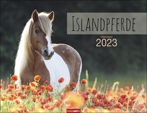 Islandpferde Kalender 2023. Fotokalender mit Porträts der beeindruckenden Wahrzeichen Islands. Großer Wandkalender für Freunde dieser besonderen Pferderasse.