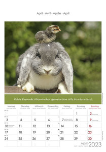 Tierfreundschaften 2023 - Bildkalender 23,7x34 cm - Kalender mit Platz für Notizen - mit vielen Zusatzinformationen - Wandkalender - Alpha Edition