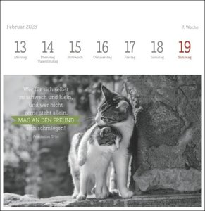 Wegler Katzen Weisheiten Premium-Postkartenkalender 2023. 53 Postkarten mit zauberhaften Katzenfotos und Zitaten in einem kleinen Kalender für Katzenfans.