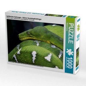 CALVENDO Puzzle Gefährliche Schlangen -  Grüner Hundskopfschlinger 1000 Teile Puzzle quer