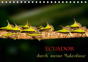 Ecuador durch meine Makrolinse