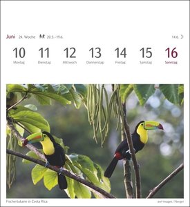 Farben der Natur Postkartenkalender 2024. Farbenprächtige Naturaufnahmen in einem Fotokalender im Postkartenformat. Tischkalender zum Aufstellen mit 53 Postkarten