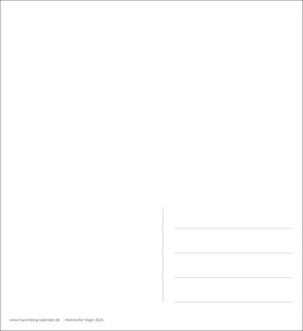 Heimische Vögel Postkartenkalender 2025 - Wochenkalender mit 53 Postkarten