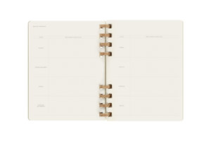Moleskine 12 Monats Life Kalender Mit Spiralbindung 2023 XL, Wochen-Monatskalender, Hard Cover, Crush Olive