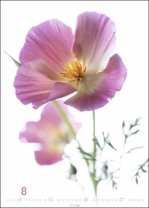 Blütenbilder Kalender 2023. Großer Jahres-Wandkalender mit stilvollen Fotos prachtvoller Blüten. Blumen-Kalender XXL für die Wand. 49x68 cm. Hochformat