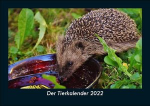 Der Tierkalender 2022 Fotokalender DIN A5