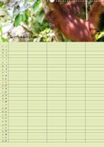 Familienplaner 2021 - Orang Utans im Dschungel (Wandkalender 2021 DIN A2 hoch)
