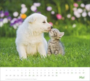 times&more Echte Freunde Bildkalender 2026