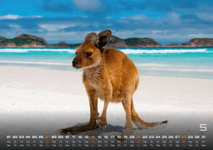 Australien - das Land der Kängurus - 2023 - Kalender DIN A2
