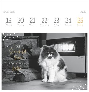 Katzen Weisheiten Premium-Postkartenkalender 2026