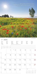 Lichtblicke 2025 - Broschürenkalender 30x30 cm (30x60 geöffnet) - Kalender mit Platz für Notizen - inkl. Poster - Bibelzitate - Bildkalender - Wandkalender