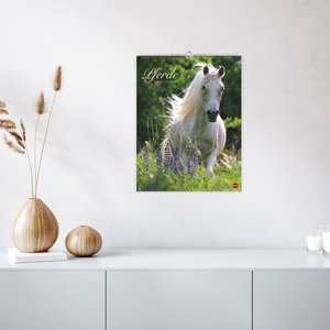 Pferde Classics Posterkalender 2026