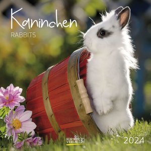 Kaninchen 2024