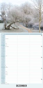 Gartenzauber 2025 - Streifenplaner 22 x 45 cm - Wandplaner mit 3 Spalten - viel Platz für Notizen - Gartenkalender - Gärten und Parks - Naturkalender