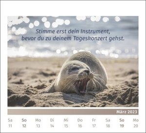 PAL-Lebensfreude-Tischkalender 2023: Inspirierender ,Kalender zum Aufstellen, mit 10-Tages-Kalenderium & motivierenden und, positiven Gedanken. Spiralbindung, 17x15cm