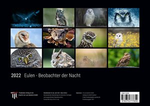 Eulen - Beobachter der Nacht 2022 - Black Edition - Timokrates Kalender, Wandkalender, Bildkalender - DIN A4 (ca. 30 x 21 cm)