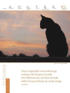 Literaturkalender Katzen 2023