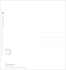 Katzen Postkartenkalender Kleine Tiger 2026